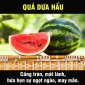 BÀI TUYÊN TRUYỀN ATTP