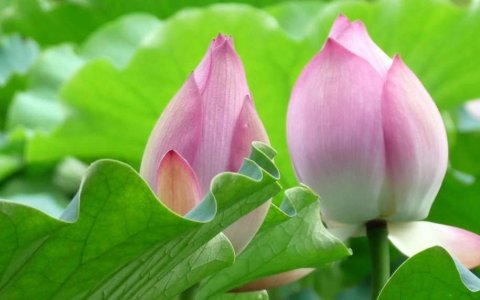 hướng dẫn sử dụng chức năng Hồ sơ lưu trữ phục vụ trích xuất, đóng gói cơ sở dữ liệu trên hệ thống phần mềm Quản lý văn bản và Hồ sơ công việc