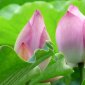 hướng dẫn sử dụng chức năng Hồ sơ lưu trữ phục vụ trích xuất, đóng gói cơ sở dữ liệu trên hệ thống phần mềm Quản lý văn bản và Hồ sơ công việc