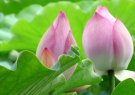 hướng dẫn sử dụng chức năng Hồ sơ lưu trữ phục vụ trích xuất, đóng gói cơ sở dữ liệu trên hệ thống phần mềm Quản lý văn bản và Hồ sơ công việc