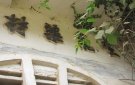 Thanh Hóa: Dấu tích bến thuyền nhộn nhịp cuối triều Nguyễn và thời Pháp thuộc