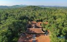 Lễ hội Lam Kinh năm 2023, điểm du lịch hấp dẫn
