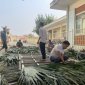 XÃ XUÂN THIÊN CÙNG CÁC ĐỊA PHƯƠNG TRÊN ĐỊA BÀN HUYỆN TÍCH CỰC CHUẨN BỊ CHO LỄ HỘI LÊ HOÀN NĂM 2025