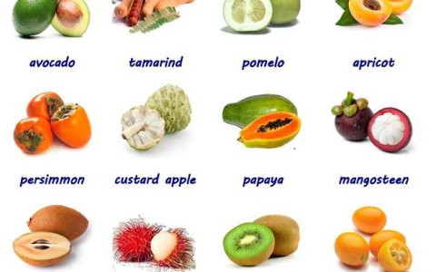 NGỘ ĐỘC THỰC PHẨM LÀ GÌ