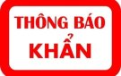 THÔNG BÁO KHẨN CỦA BAN CHỈ ĐẠO PHÒNG CHỐNG DỊCH COVID-19