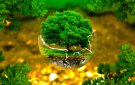 BÀI TUYÊN TRUYỀN PHÒNG CHỐNG CHÁY NỔ KHU DÂN CƯ